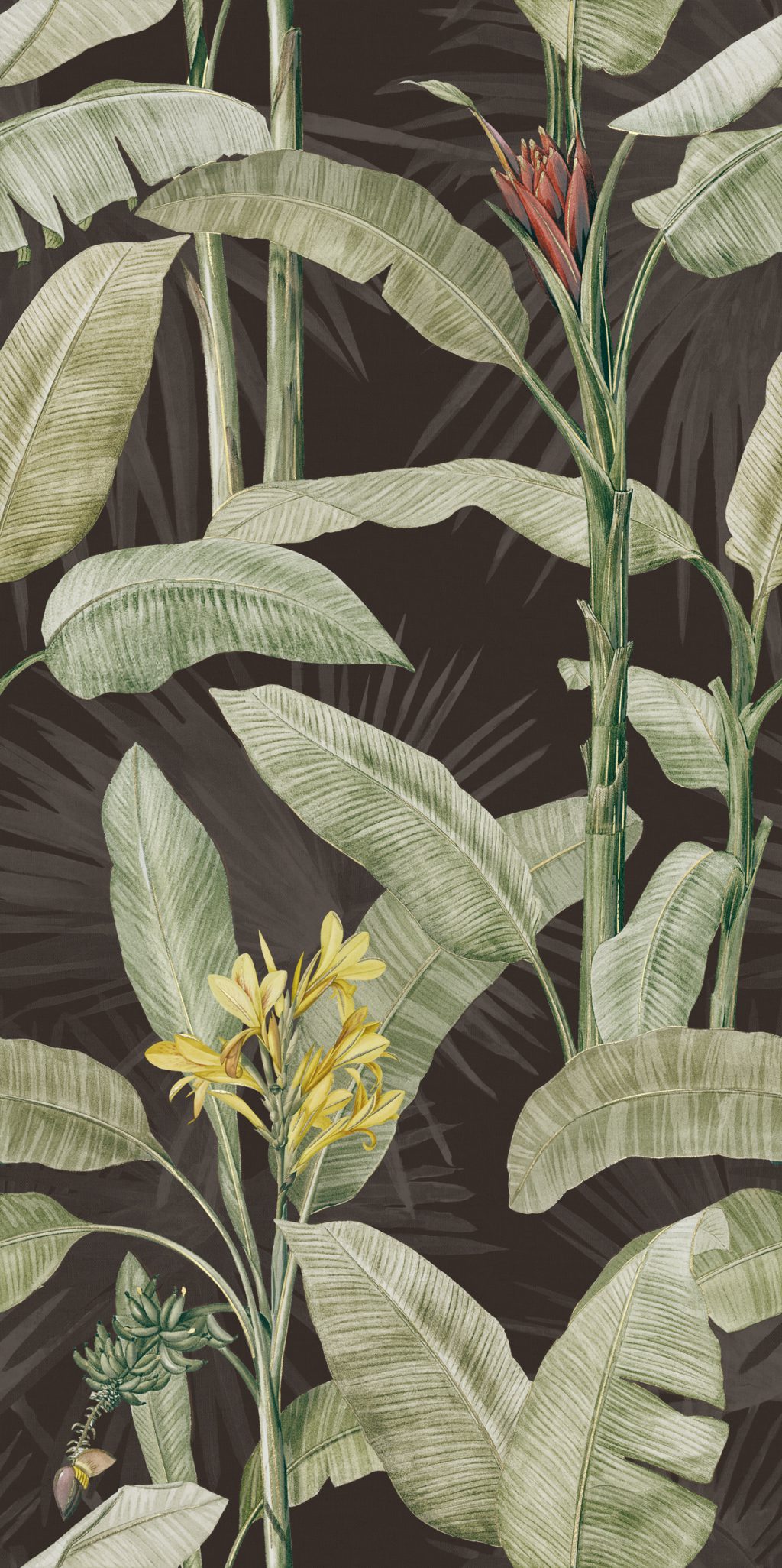 Imagine Botanical