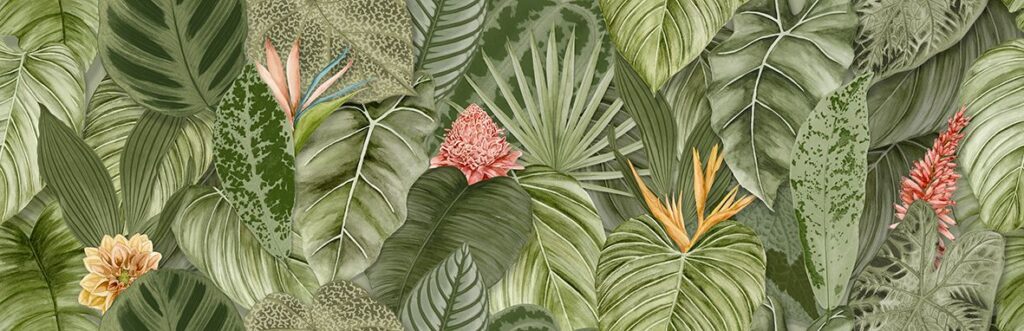 Tropical Oasis Single