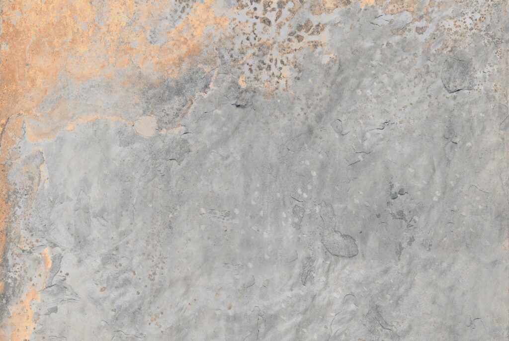 Vietnam Gold Ash