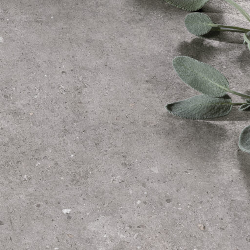 Alternative view of Biophilic Grey