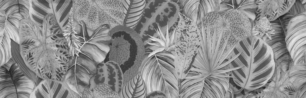 Tropical Oasis Monochrome Single