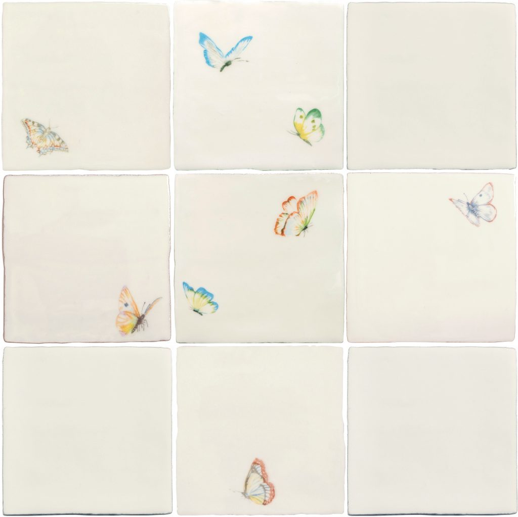 A Kaleidoscope of Butterflies