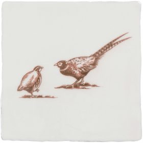 Brace of Pheasant