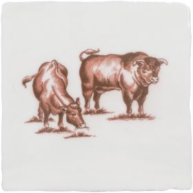 Drove of Cattle