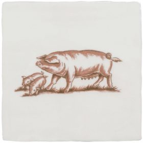 Litter of Pigs