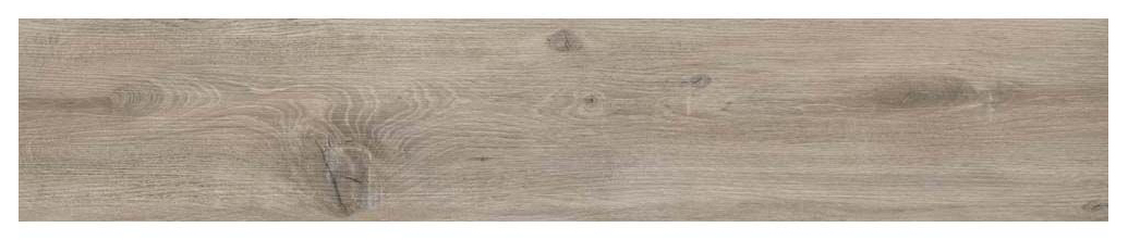 Light Birch - Image 2